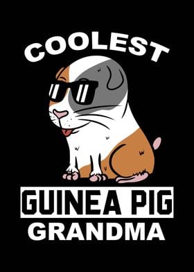 Guinea Pig Grandma 