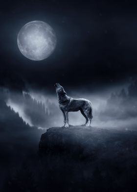 Lone Wolf Midnight Howl