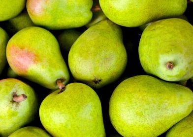 fruits pears