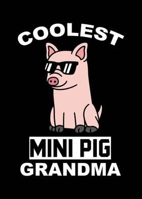 Mini Pig Grandma 