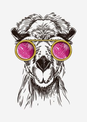 Camel in pink glasses