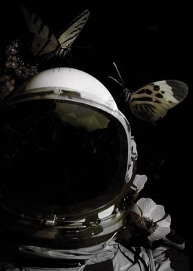 Dark Astronaut Butterfly