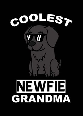 Newfoundland Dog Grandma 