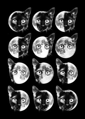 Cats and Moon