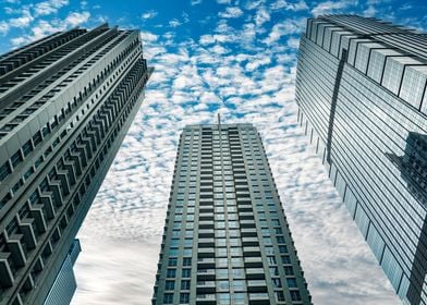 skyscrapers in city