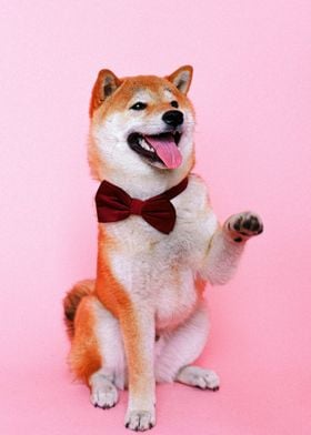 RED TIE DOG