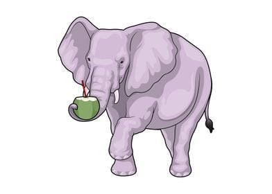 Elephant Coconut