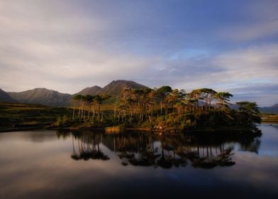 Pine island reflection