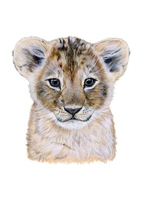 Baby lion portrait