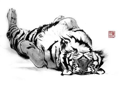 Sleepying Tiger