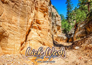 Lick Wash Trail Hike