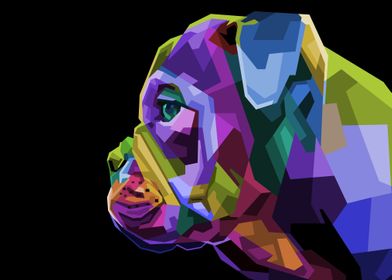 Colorful English bulldog