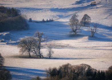 Winter landscape