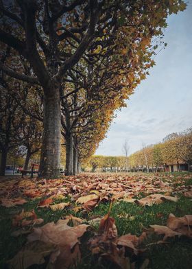 Beautiful day in the park