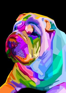 Colorful shar pei dog