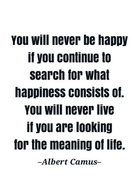 Albert camus quote