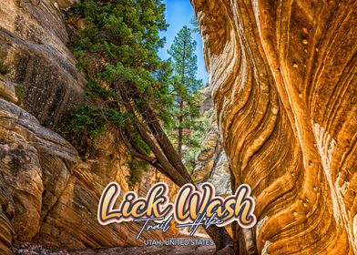 Lick Wash Trail Hike