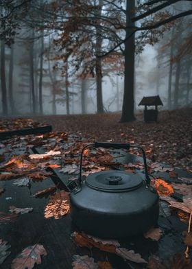 Forest cooking