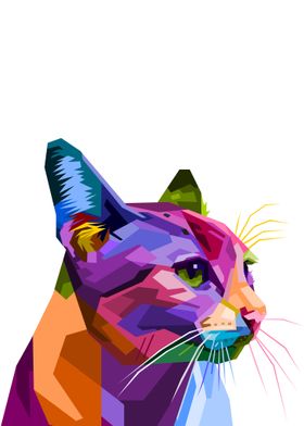 Colorful cat on white