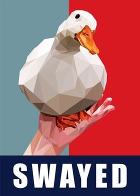 swayed duck