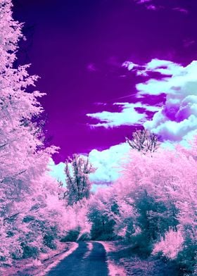 Nature in Purple