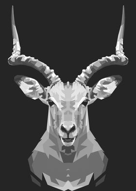 Deer grayscale  2