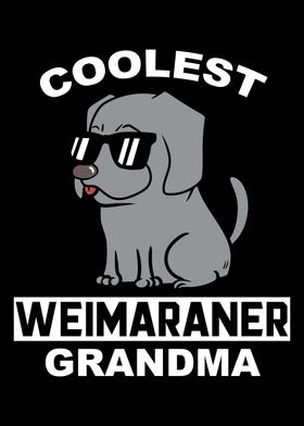 Weimaraner Grandma 