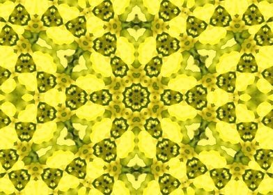 Rapeseed Kaleidoscope5