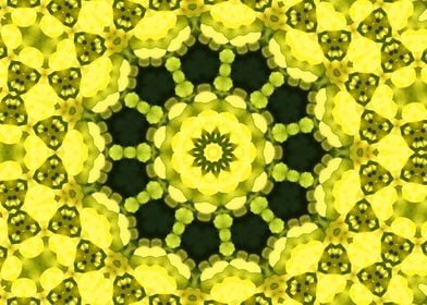 Rapeseed Kaleidoscope2