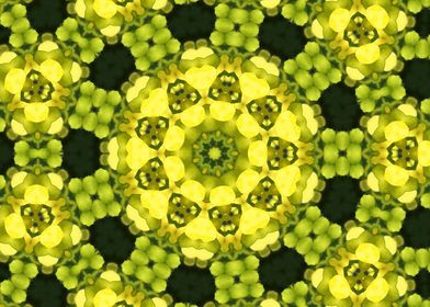 Rapeseed Kaleidoscope3