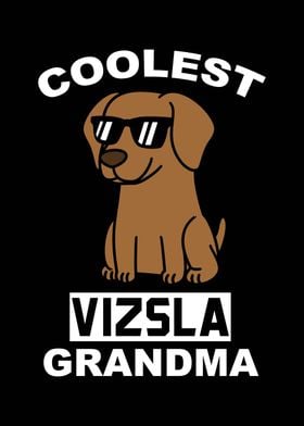 Vizsla Grandma 