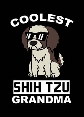 Shih Tzu Grandma 