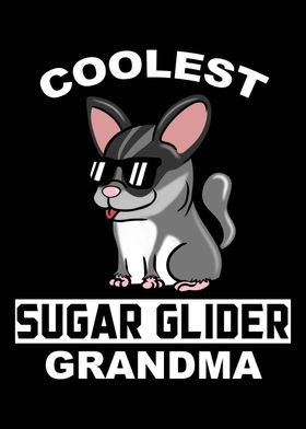 Sugar Glider Grandma 