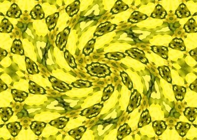 Rapeseed Kaleidoscope6