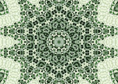 Lacy Kaleidoscope2