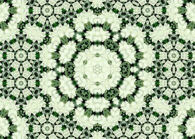 Lacy kaleidoscope 6