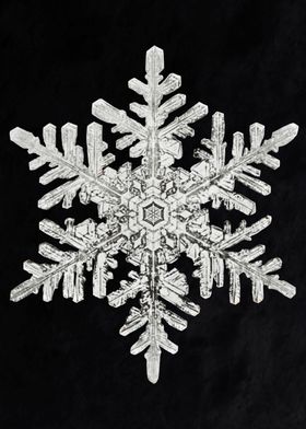 Snowflake 939 1890 Wilso