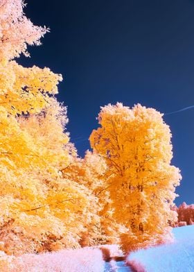 White and Blue Nature