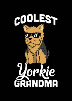 Yorkshire Terrier Grandma 