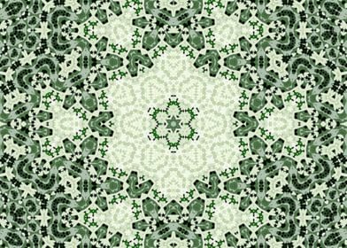 Lacy Kaleidoscope 3