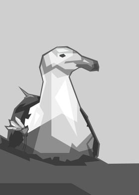 Grayscale Seagaull Bird