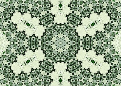 Lacy Kaleidoscope 8