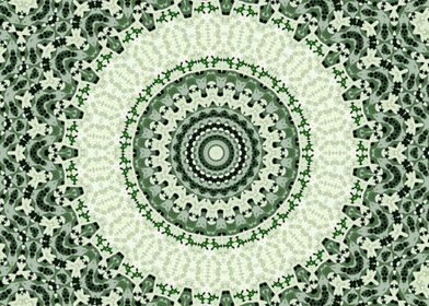 Lacy Kaleidoscope 9