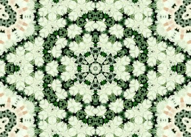 Lacy Kaleidoscope 4