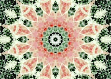 Lacy Kaleidoscope 6