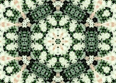 Lacy kaleidoscope 7