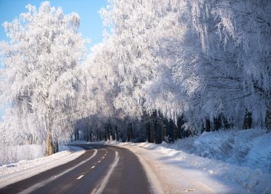 Winter road