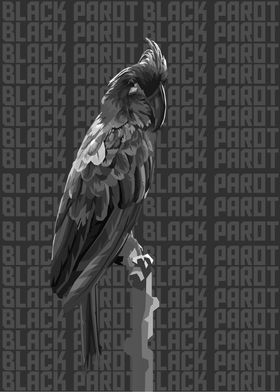 Black parot greysc version