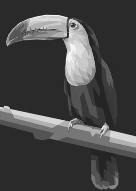 Toucan grayscale colors