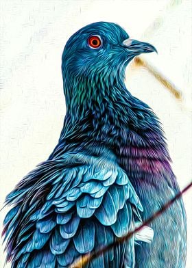 Pigeon